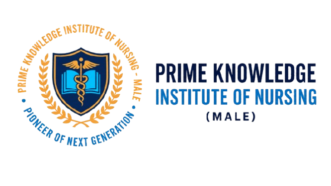 Prime Knowledge Institute Logo